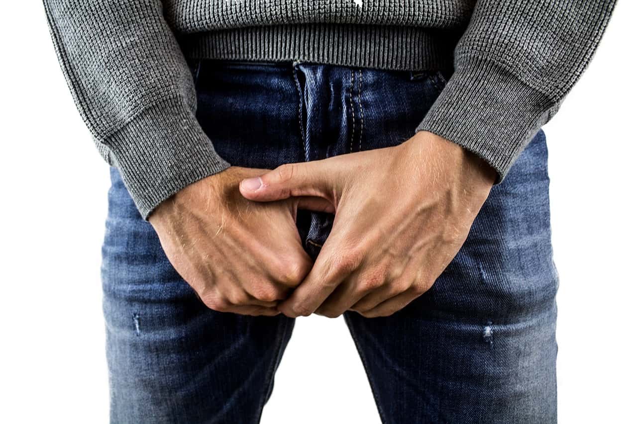 The, Penis